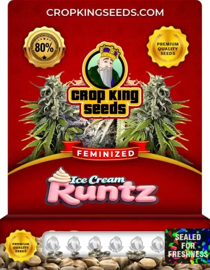 Ice Cream Runtz Strain