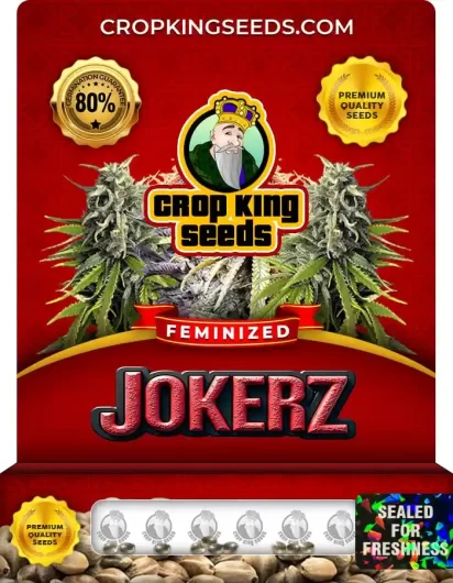 Jokerz Strain