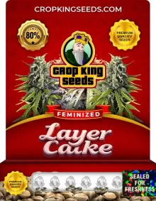 Layer Cake Strain