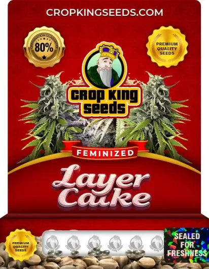 Layer Cake Strain