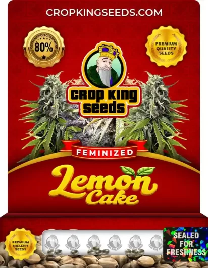 Lemon Cake Feminized