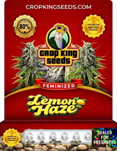 Lemon Haze Feminized