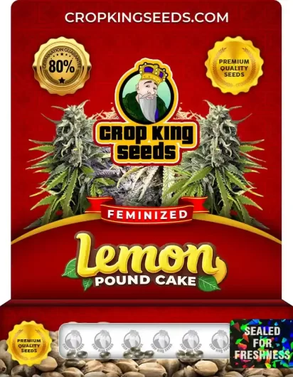 Lemon Pound Cake Feminized