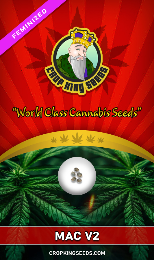 Mac V2 Strain Feminized