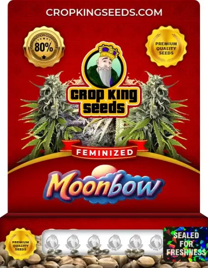 Moonbow Feminized