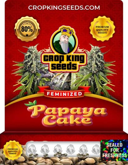 Papaya Cake Feminized