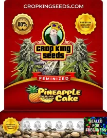 Pineapple Upside Down Cake Feminized