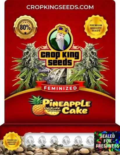 Pineapple Upside Down Cake Feminized