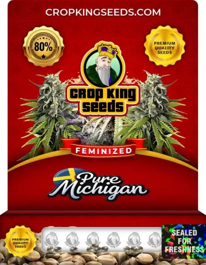 Pure Michigan Feminized