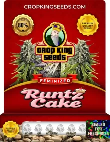 Runtz Cake Feminized