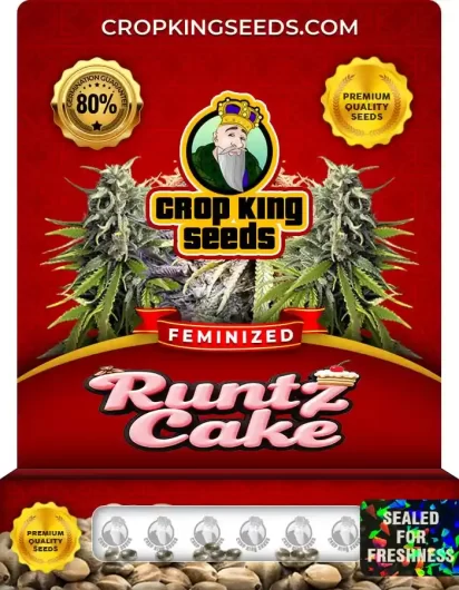 Runtz Cake Feminized