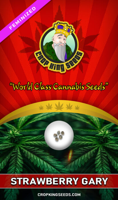 Strawberry Gary Strain