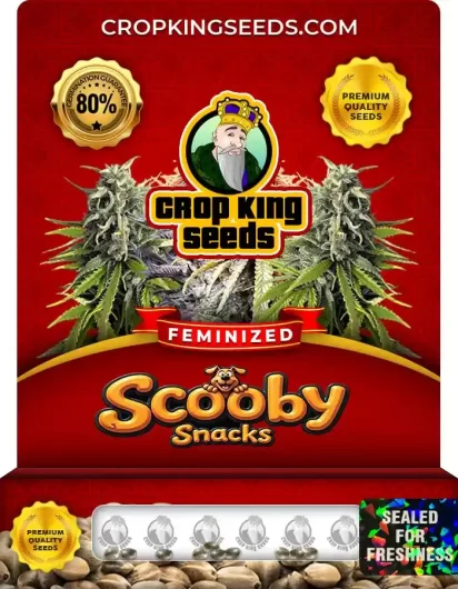 Scooby Snacks Feminized