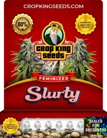 Slurty Feminized