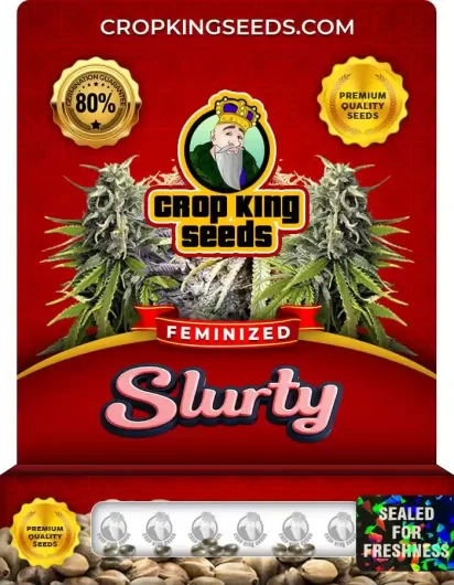 Slurty Feminized
