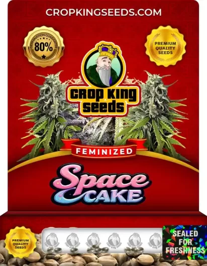 Space Cake Strain