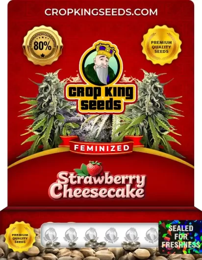 Strawberry Cheesecake Strain