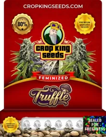 Truffle Feminized