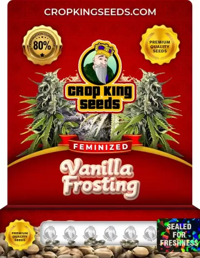 Vanilla Frosting Feminized