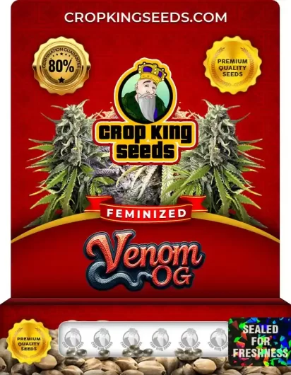 Venom OG Feminized