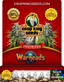 Warheads Strain Feminized Marijuana Seeds