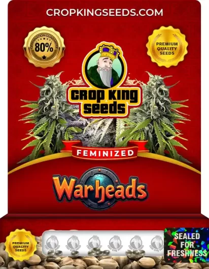 Warheads Strain