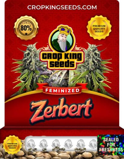Zerbert Feminized