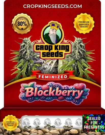 Blockberry Strain