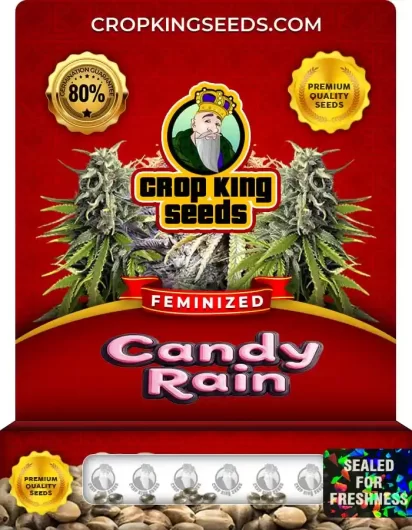 Candy Rain Strain