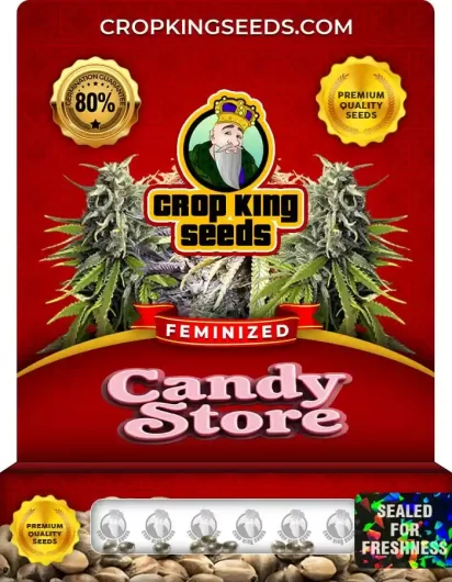 Candy Store Strain