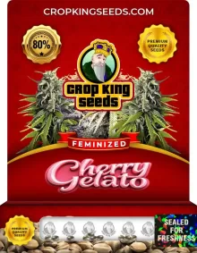 Cherry Gelato Strain