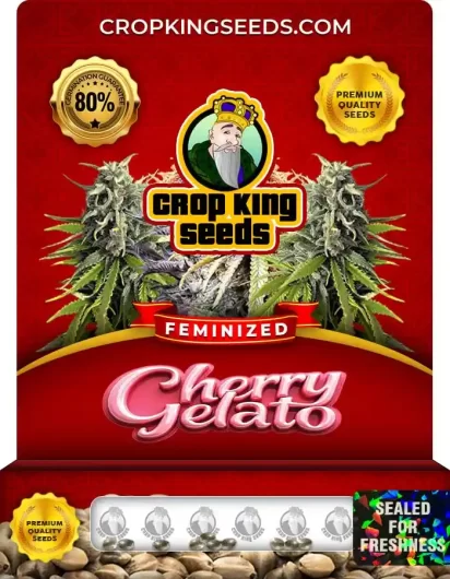 Cherry Gelato Strain