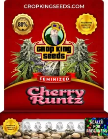 Cherry Runtz Strain
