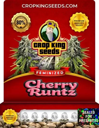 Cherry Runtz Strain