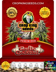 Garlic Cocktail Strain