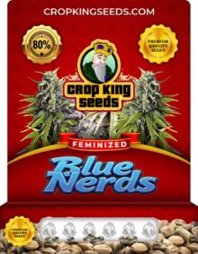 Blue Nerds Strain