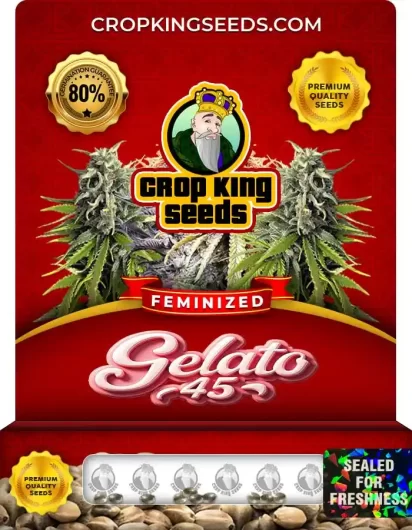 Gelato 45 Strain
