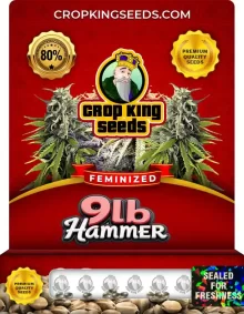 9lb Hammer Strain