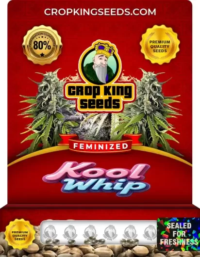 Kool Whip Strain