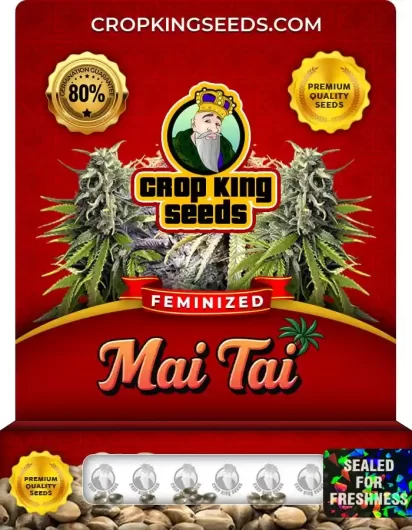 Mai Tai Strain