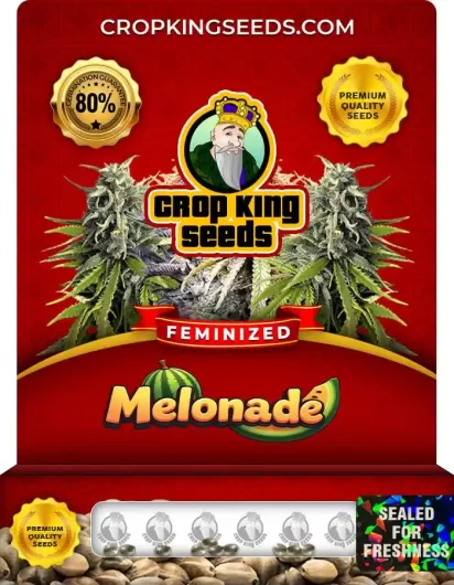 Melonade Strain