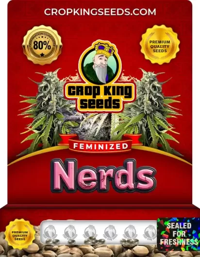 Nerds Strain