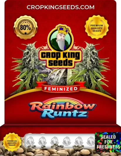 Rainbow Runtz Strain
