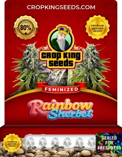 Rainbow Sherbet Strain