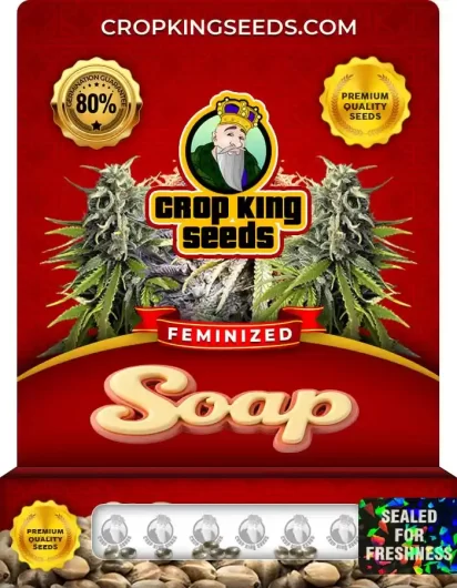 Soap Strain