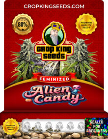 alien rock candy