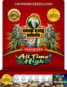All Time High Strain Feminized
