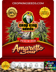 Amaretto Sour Strain Feminized