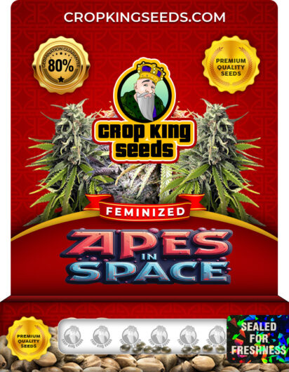 Apes in Space Strain Feminized