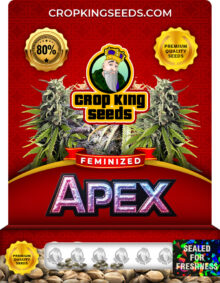 Apex Strain Feminized